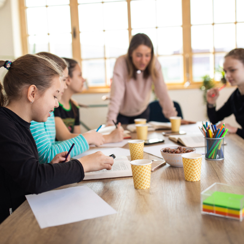 CONSULENZE ED INTERVENTI PSICOEDUCATIVI (1)